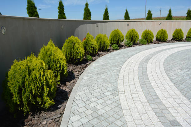 Reasons to Select Us for Your Driveway Paving Requirements in Scappoose, OR